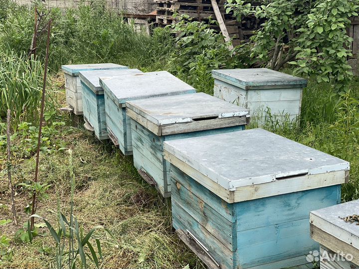 Ульи ящики для пчел