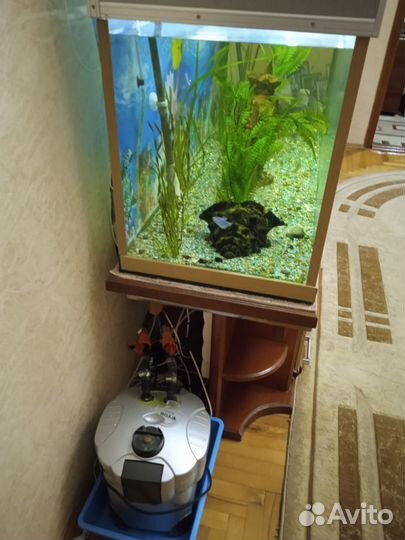 Аквариум