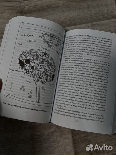 Книга «очаровательный кишечник»