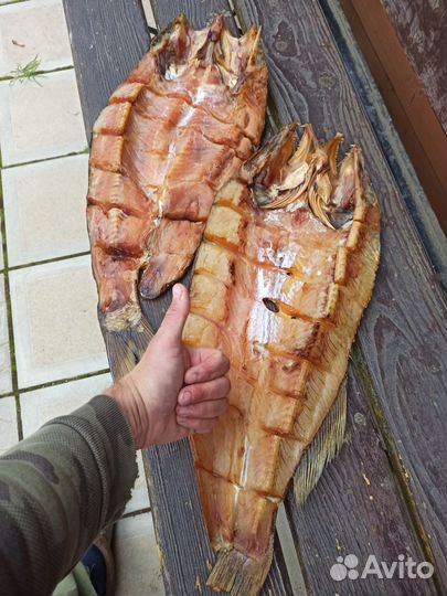 Судак бабочка холодного копчения