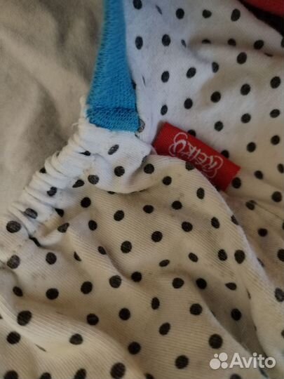 Пакет вещей на собаку или кошку чихуа-хуа,Джек рас