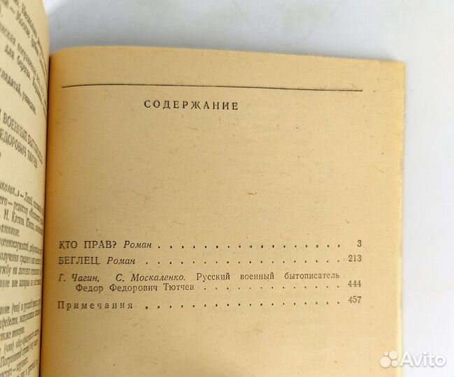 Кто прав Беглец. Тютчев. У всех ведь одно и то же