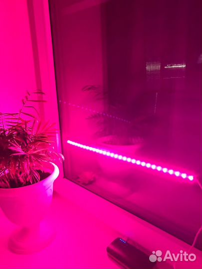 Фитолента,Ультрафиолет для растений (0.5м)