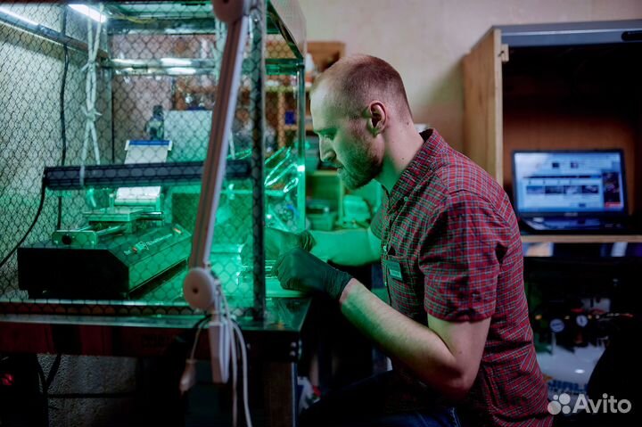 Замена стекла дисплея Samsung