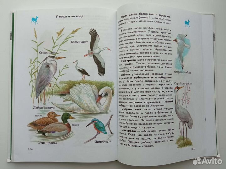 Плешаков Атлас определитель От Земли до неба