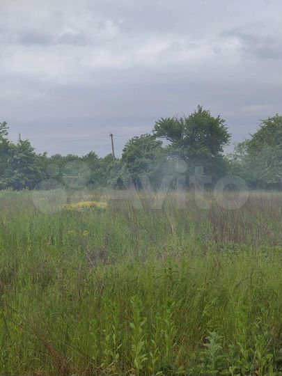 Участок 20 сот. (СНТ, ДНП)