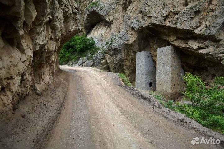 Экскурсии/Гид по Чечне