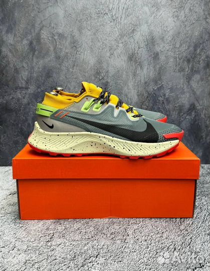 Кроссовки Мужские Nike Pegasus