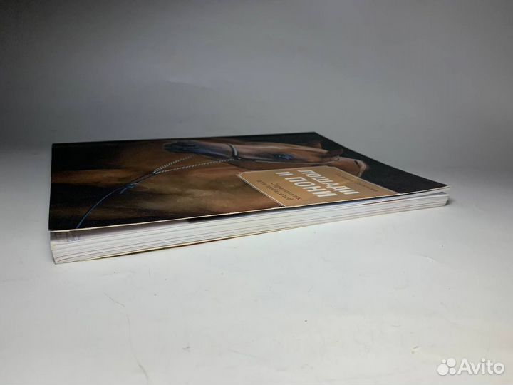 Книги лошади и пони справочник для любителей