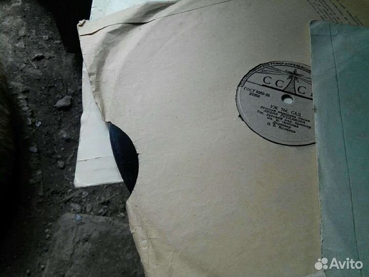 Потифонные пластинки