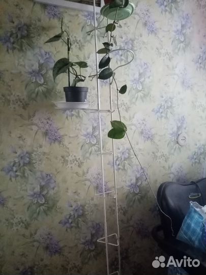 Стойка для цветов распорная