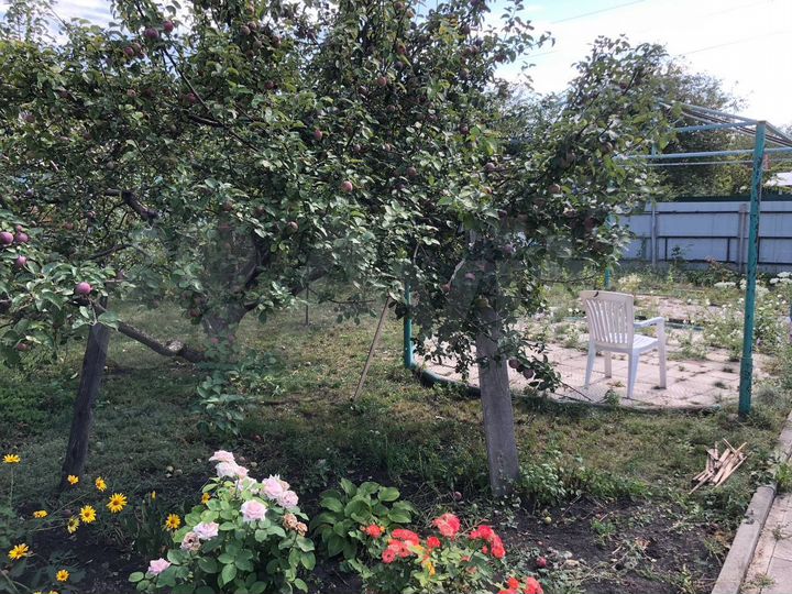 Дача 52,6 м² на участке 12 сот.