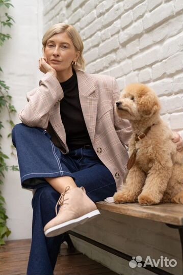 Собака (мальтипу) для фотосессии/ съемок