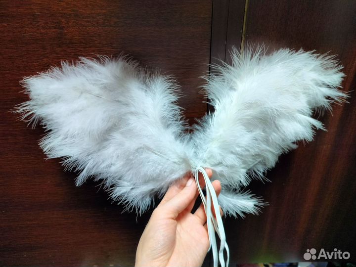 Крылья ангела