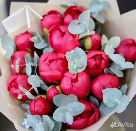 Пионы Букет пионов