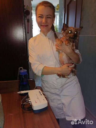 Стрижка собак и кошек.Передержка животных