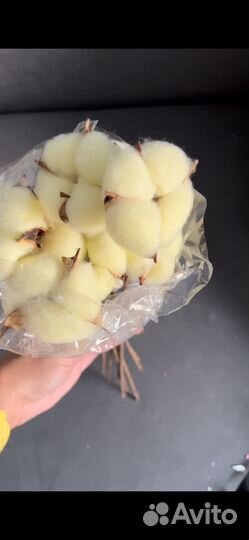 Хлопок для композиций