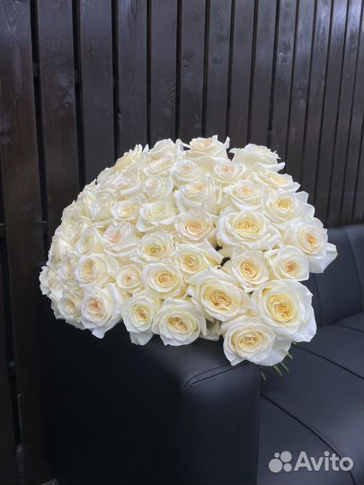 Букет роз 15/25/31/51/101 штука