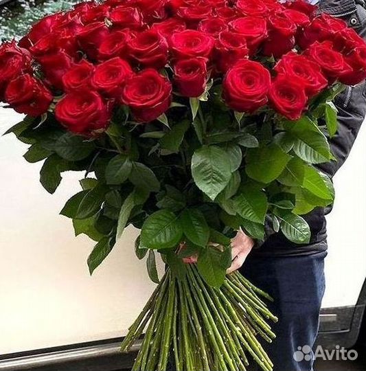 Букет роз 101 роза 51 роза