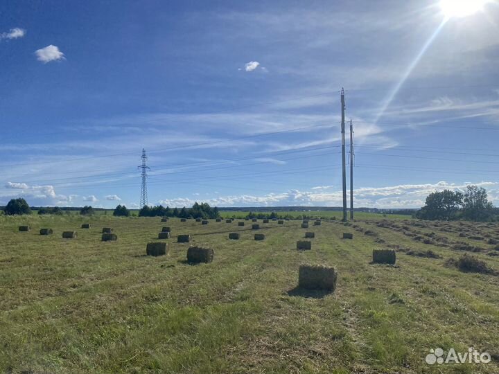 Продам сено в мини рулонах