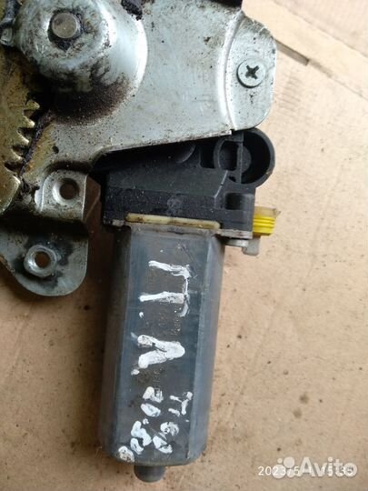 Эсп лев. Пер Тиго Т11