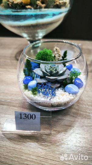 Флорариум подарок на 8 марта