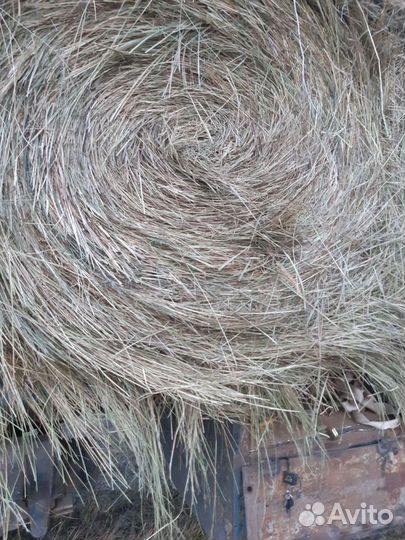 Сено с доставкой от 22шт