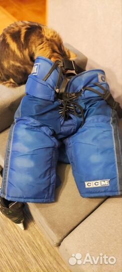 Хоккейные шорты