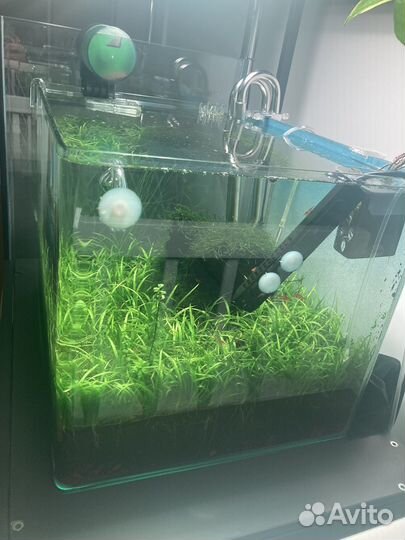 Аквариум с тумбой 55 dennerle Nano Scaper's Tank