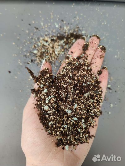 Универсальный грунт для декоративно-лиственных 2л