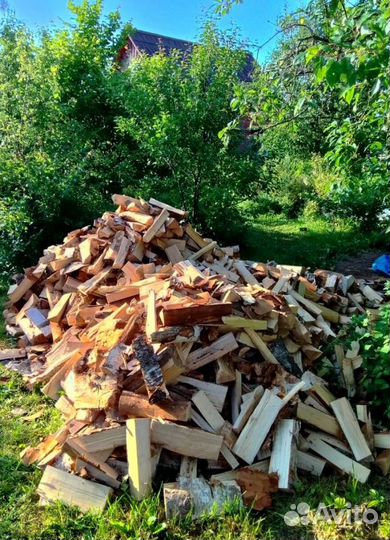 Дрова Ольховые любой объем