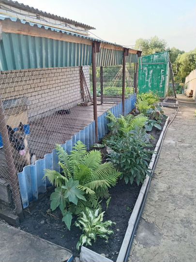 Дом 54,5 м² на участке 6 сот.