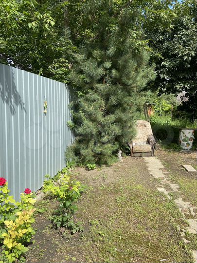 Дом 36 м² на участке 2,6 сот.