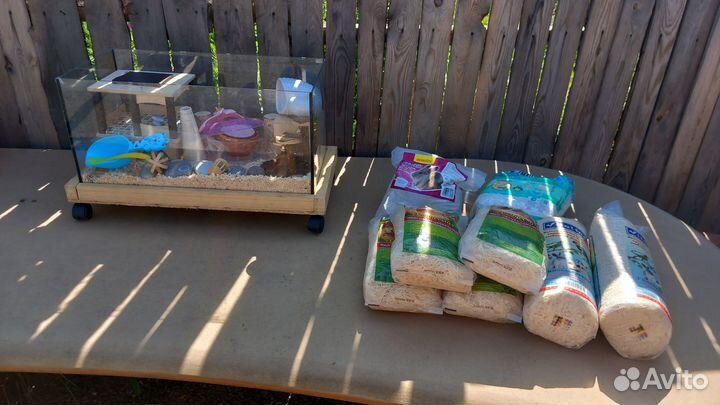 Предлагаю аквариум для хомяка со всем необходимым
