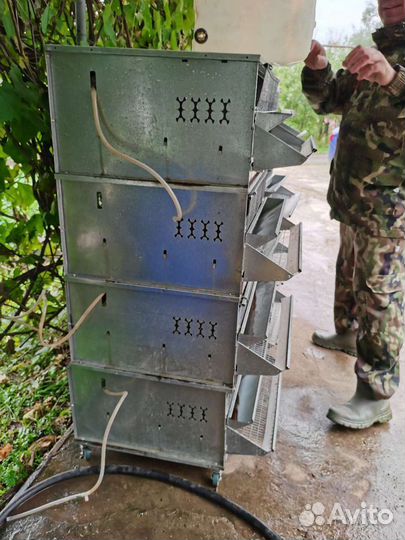 Клетка для перепелов бу