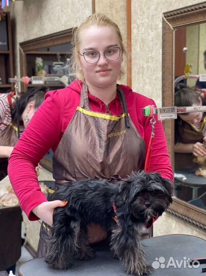 Грумер на дом