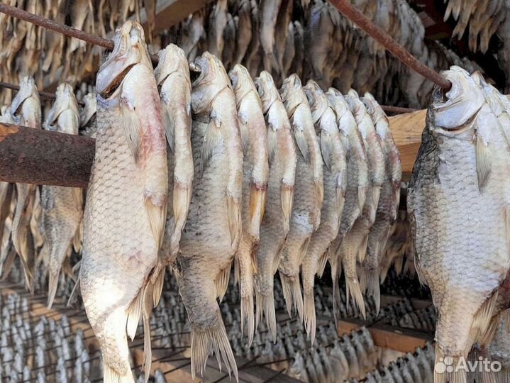 Вяленая вобла астраханская