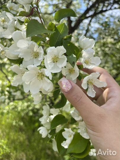 Качественный маникюр