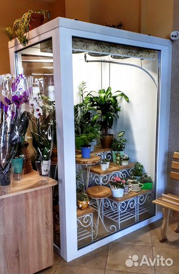 Холодильная камера для цветов