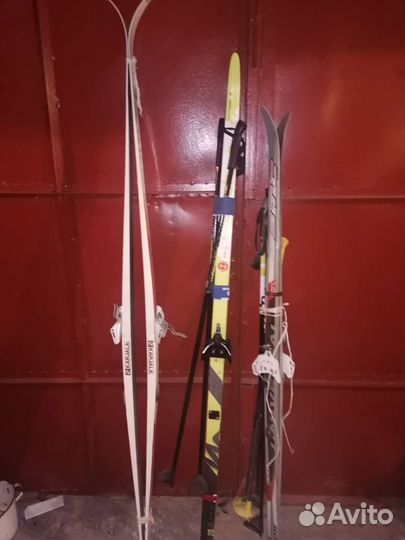 Беговые лыжи