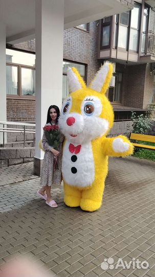 Надувной Мишка/Панда/Заяц,Ростовая кукла