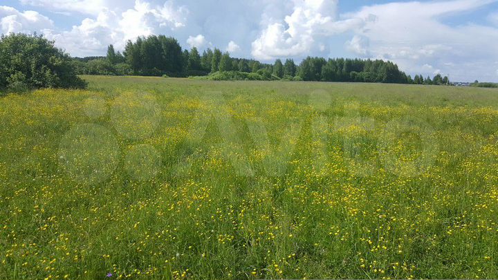 Участок 10 сот. (ИЖС)