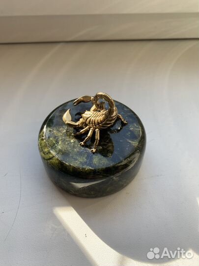 Скорпион на камне