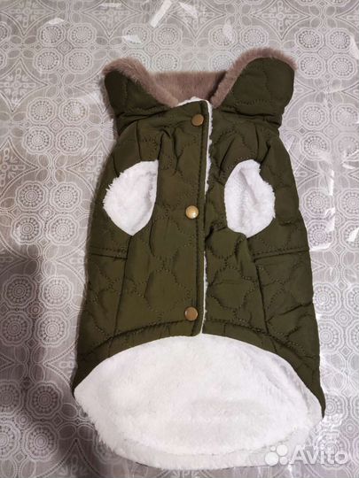 Одежда для маленьких собак