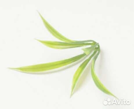 Искусственные листья розы мини Карро Зелень