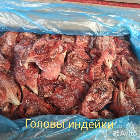 Мясо для животных