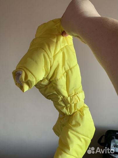 Комбинезон на маленькую собаку