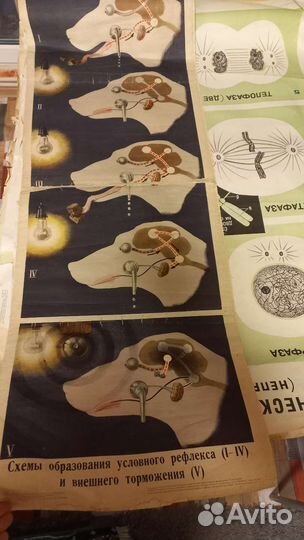 Учебные пособия СССР