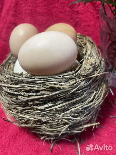 Пасхальный decor гнездо декор