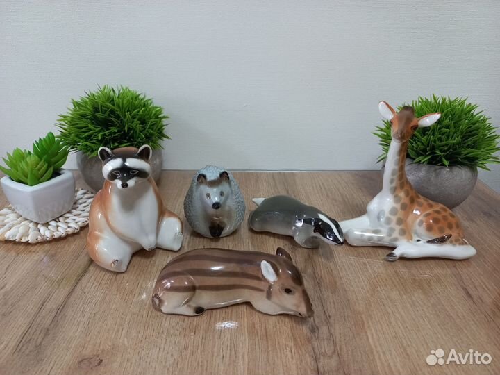 Анималистика (животные) лфз